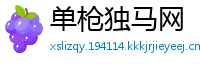 单枪独马网
